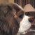 pascalfox72