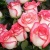 xoxoflojo