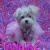 tannia2
