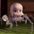 caradebebee