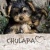 chulapa69
