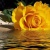 andreab42160