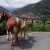 raulasturiano