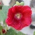nono201257