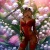 gitane4997