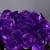 10rosas10