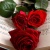 lallalove02