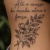 12liriodocampos