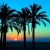 canaria00