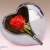 corazonabierto