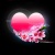 kyty88