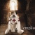 templario39