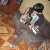 starkey8