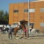 jilguera1