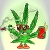 ladymarihuana