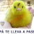 litooooo
