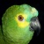 caall2