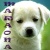 maraona