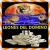 leonesdeldomino