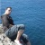 cocote30