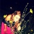 cay1303