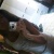 alexiiia99