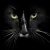 catline