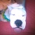 moylolou