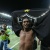 r10galaodamassa