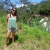 viviejr