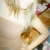 fabixi14