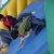 chavo272