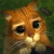 gatush
