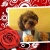 soniagomez5602