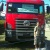 gilmar711