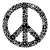 hippy8228