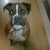jocris1