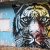 tigrebcn1