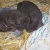 raton1989