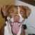 frederico08