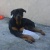 katia120874