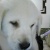 caio0013