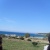 palmerin11