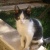 lucas7359644