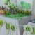 candelais5