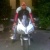 claudio4651