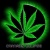 jose284mendez