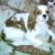 cannelle22100