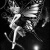 madambutterfly