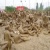 guanche77